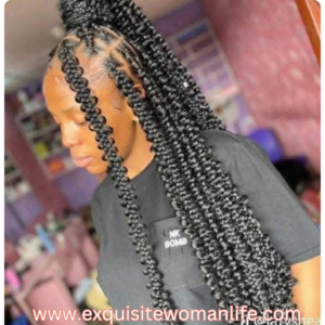 butter-fly-braids