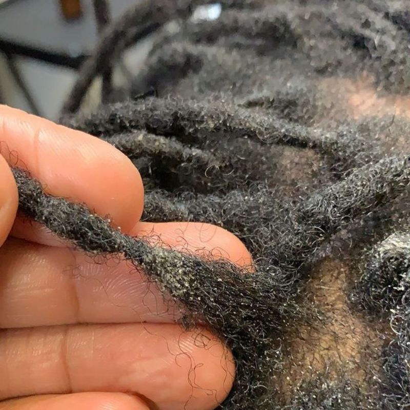 summer-locs-care tips