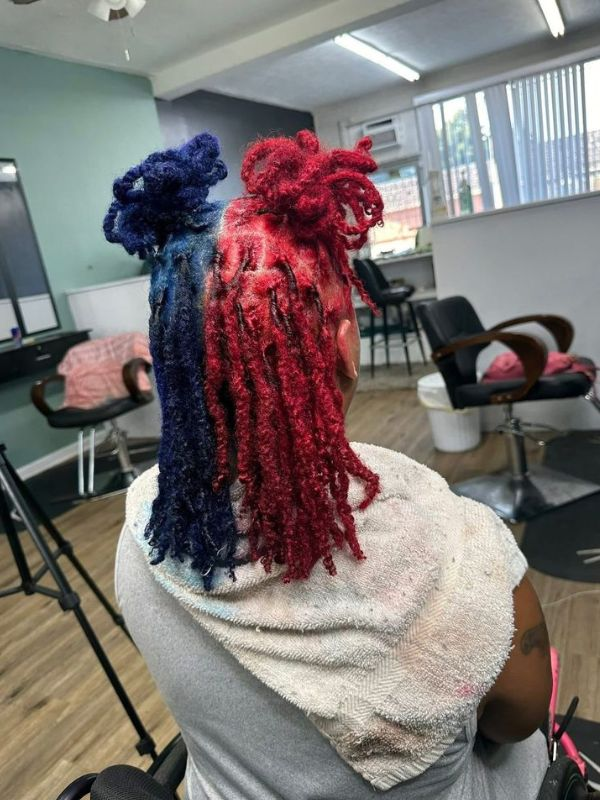 two-toned-loc-colour-idea