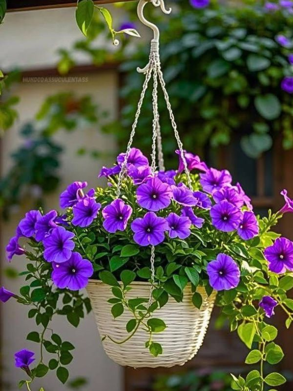 Summer-front-door-decor 