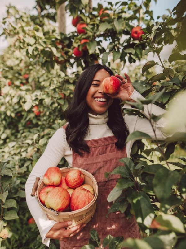 Apple-picking--fall-activities 