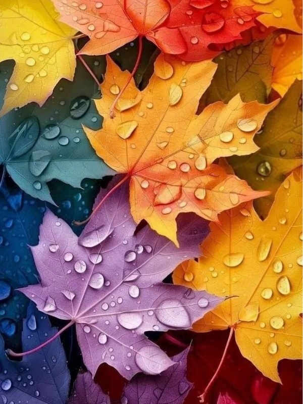 Fall-bucket-list-ideas-for-adults 