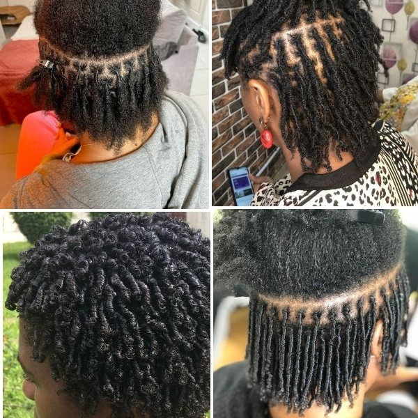 how-to-start-locs-on-natural-hair