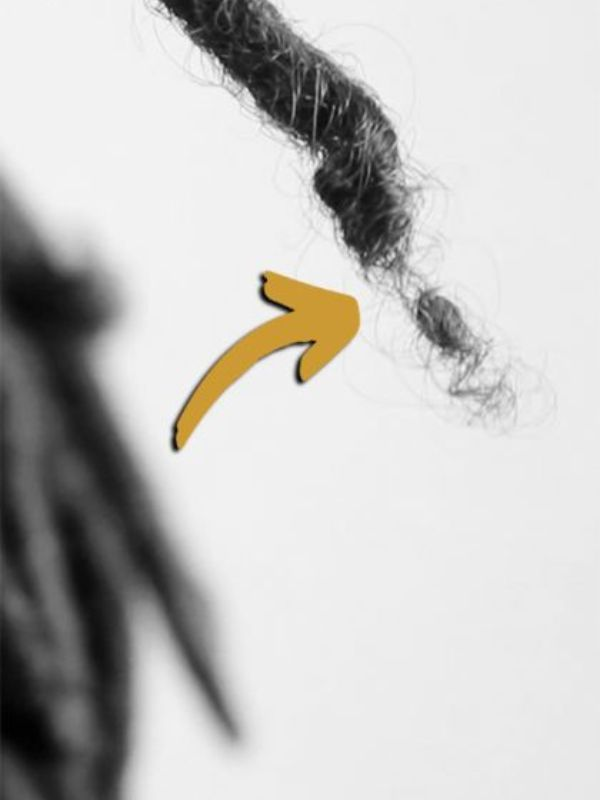 thinning-locs-at-the-root