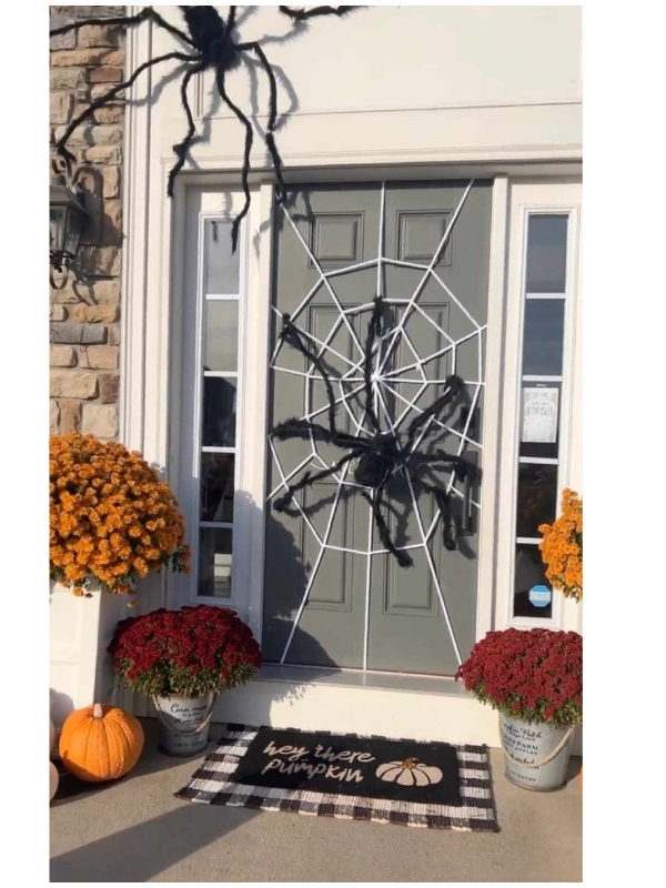Spider-door